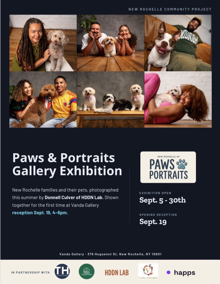Professional Pet Portraits