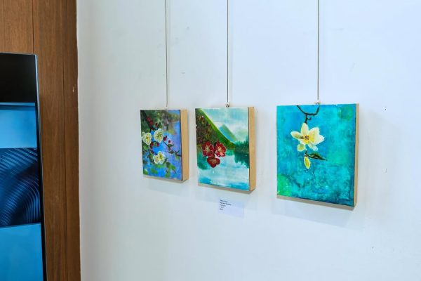 a group of paintings on a wall